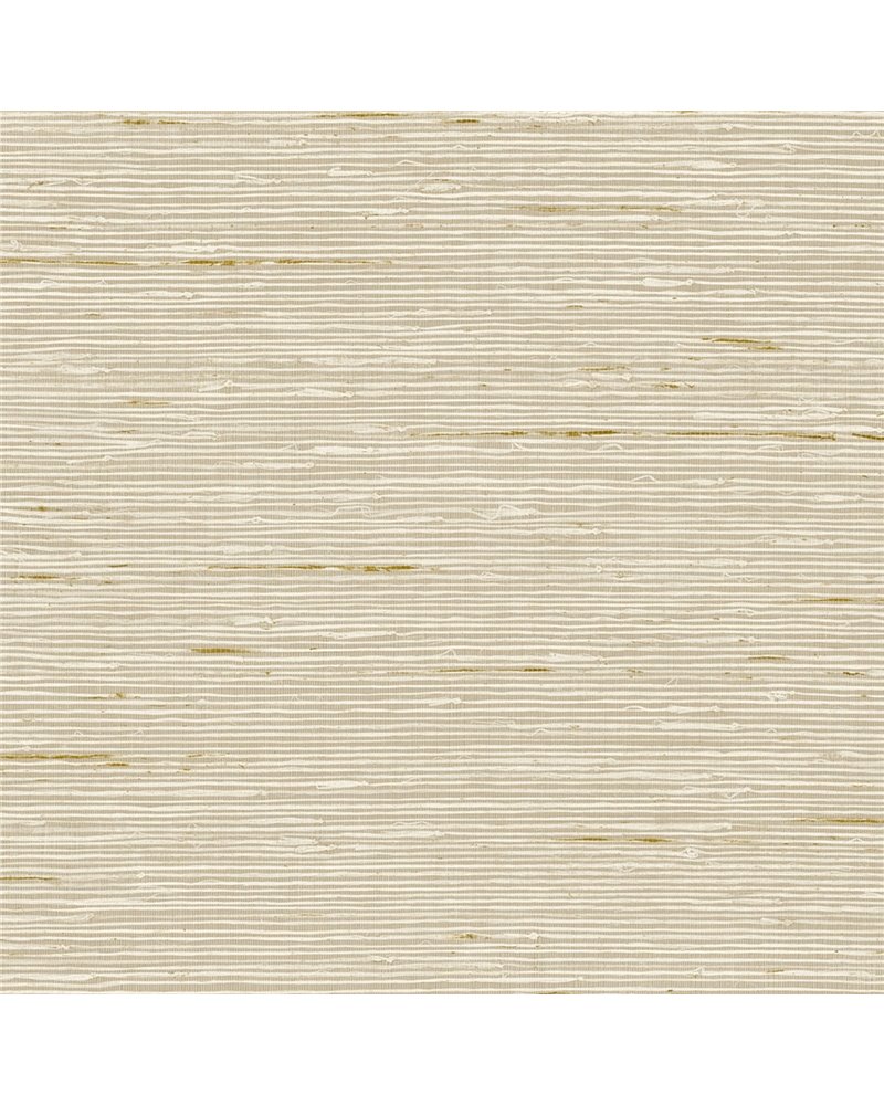 A Lot More Textures II CP90205 A Lot More Textures II CP90205