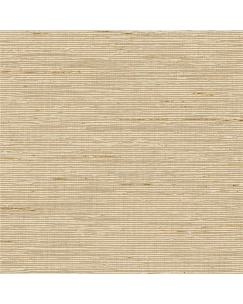 A Lot More Textures II CP90207