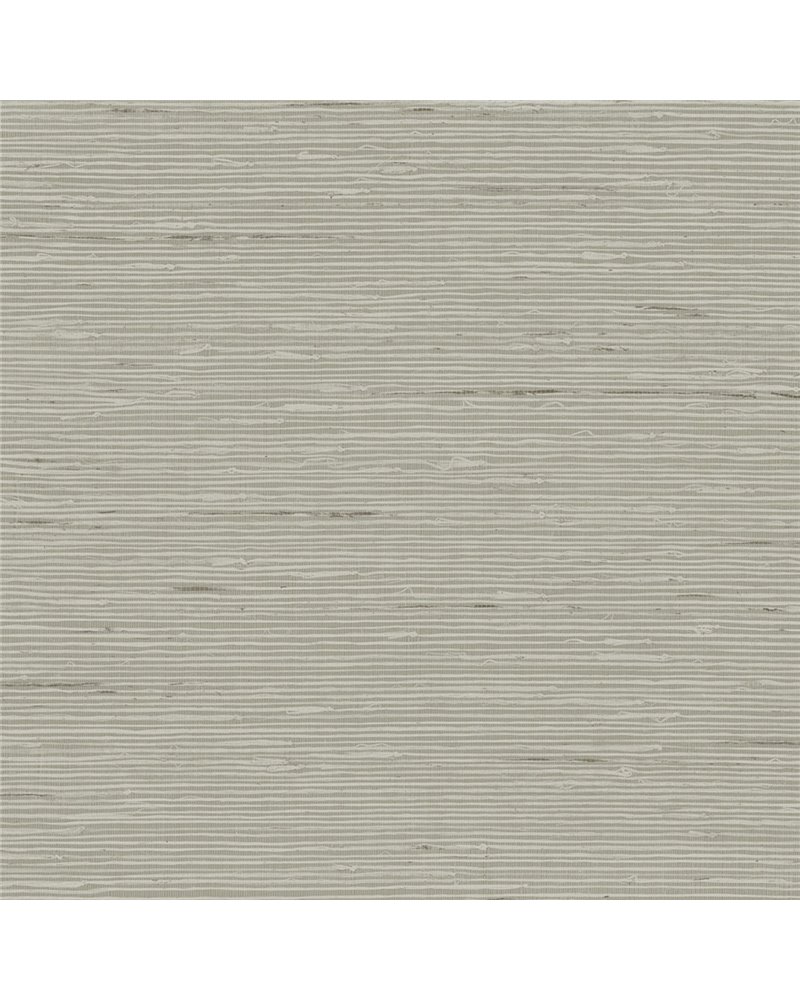 A Lot More Textures II CP90217 A Lot More Textures II CP90217