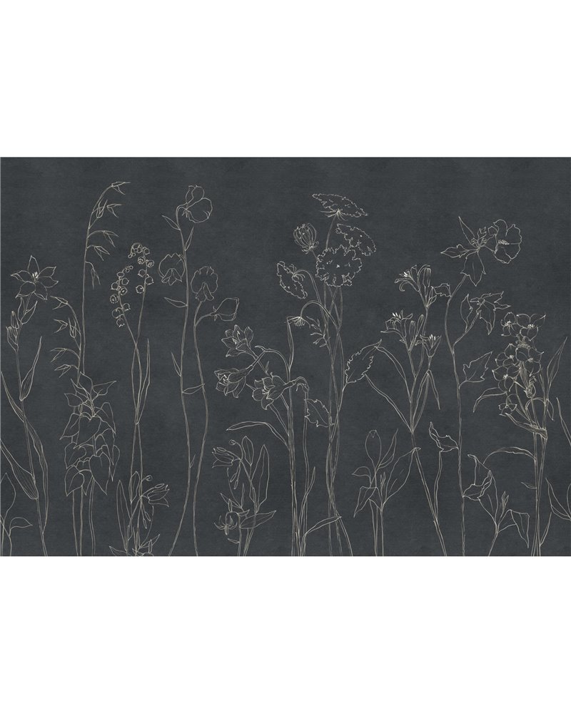 Countryside Black B00366 Countryside Black B00366