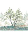 Life Moment Vert Lichen S 200077007