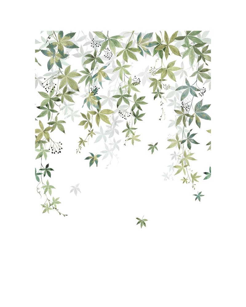 Vigne En Fleur Vert Olive L 200067204 Vigne En Fleur Vert Olive L 200067204
