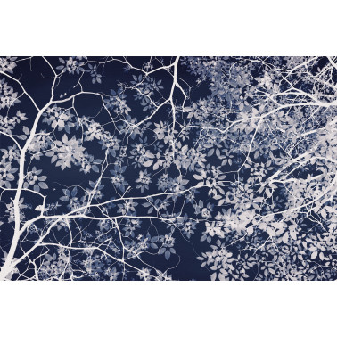 Jardin Nocturne DOM3014