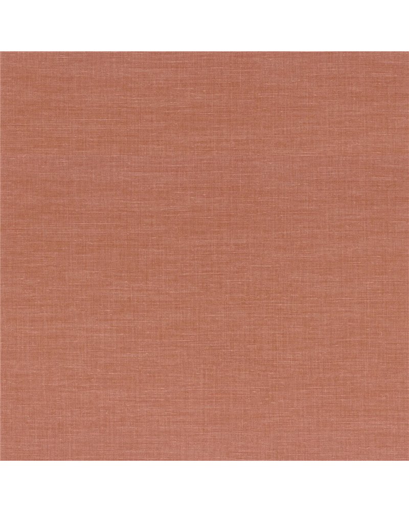 Shinok Corail 73819772 Shinok Corail 73819772