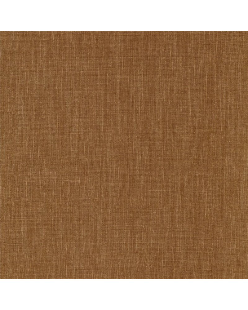 Shinok Ambre 73817528 Shinok Ambre 73817528