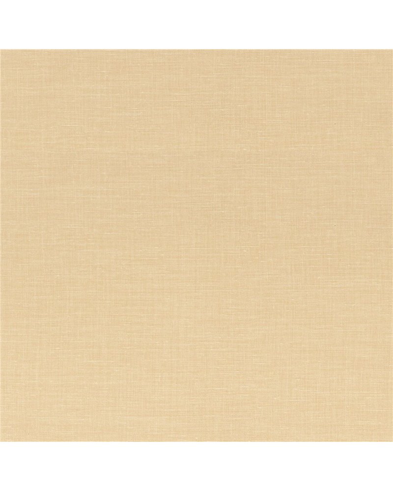 Shinok Vanille 73819262 Shinok Vanille 73819262