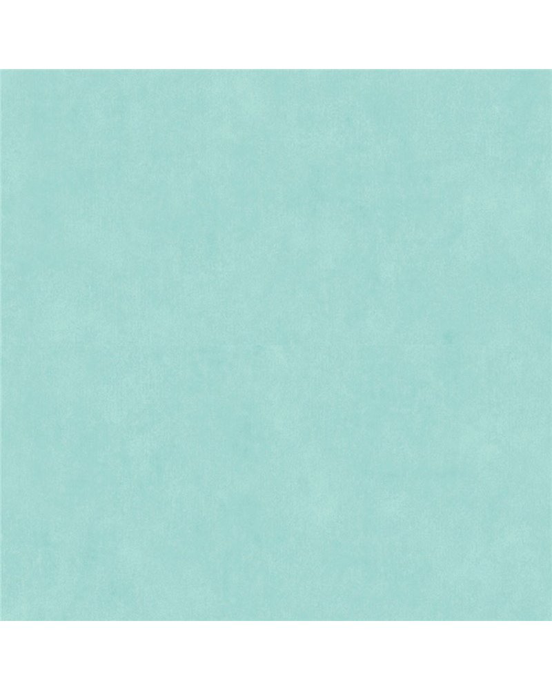 36200904 36200904