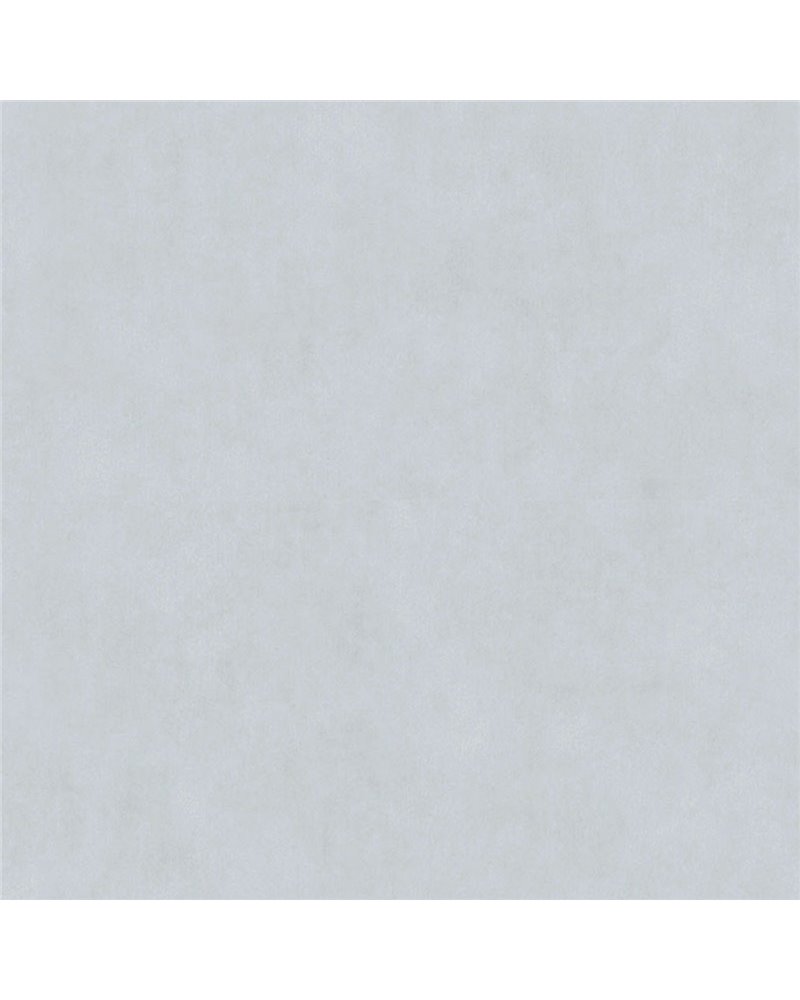 36200909 36200909