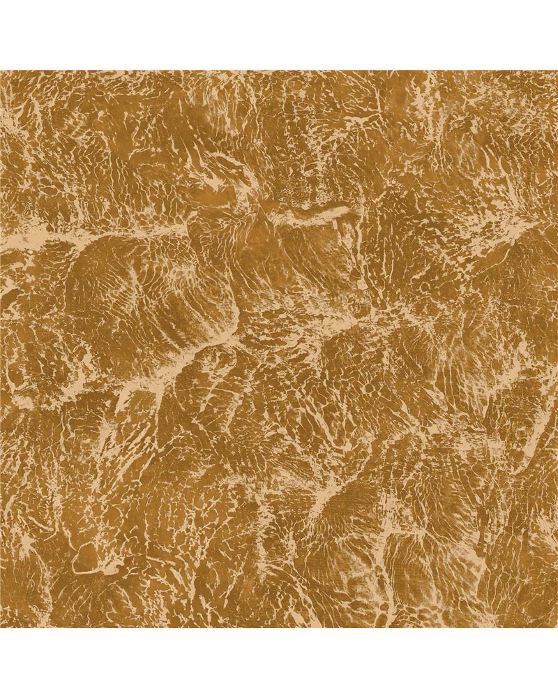 Sepia Curry B00200 Sepia Curry B00200