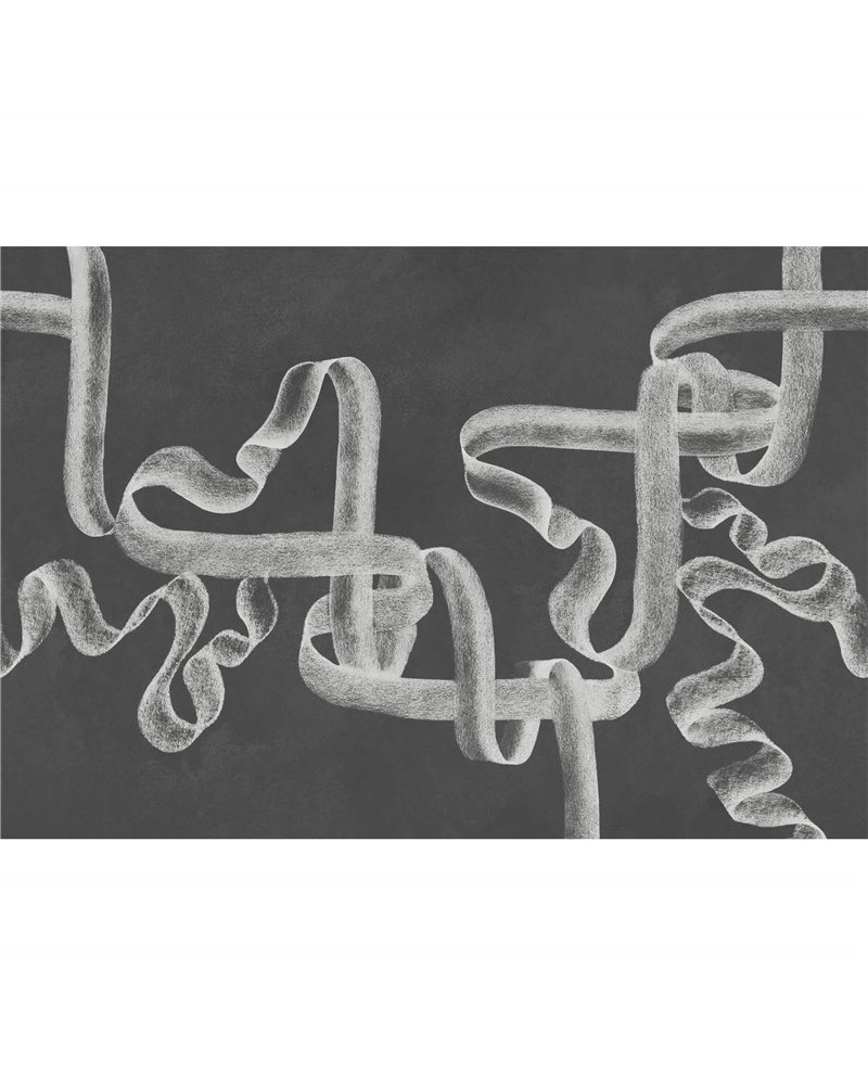 Ribbon Ink B00247 Ribbon Ink B00247