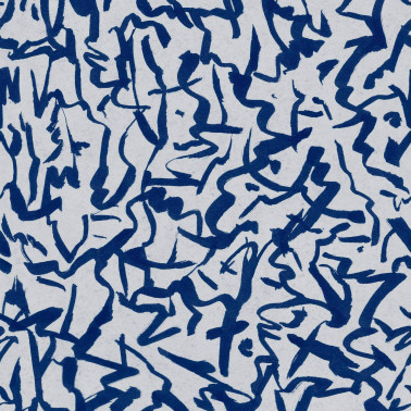 Fluid Klein B00229