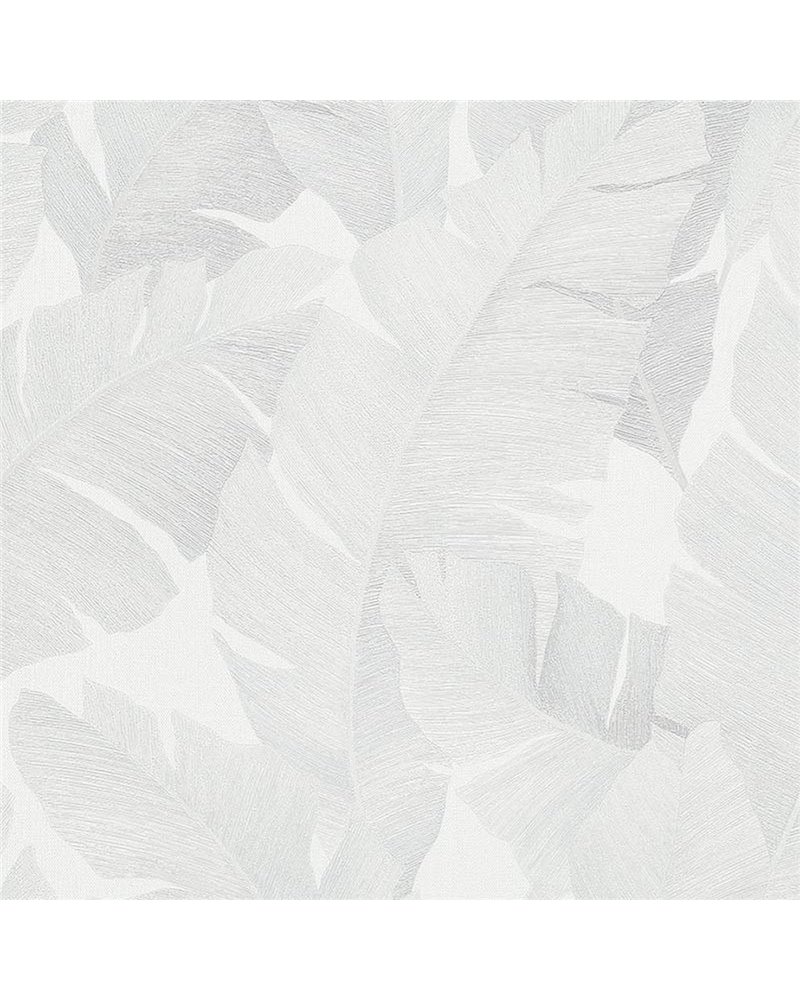 007-HOJ 007-HOJ