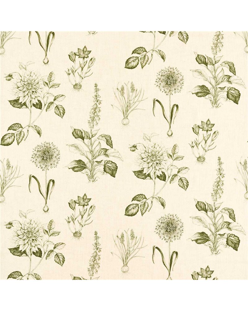 Roseraie Sage F1738-05 Roseraie Sage F1738-05