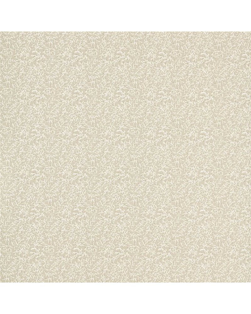 Seabed Natural F1729-04 Seabed Natural F1729-04