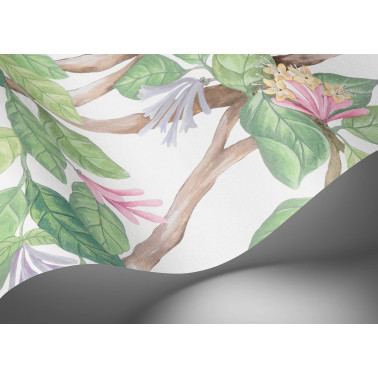 Hummingbirds Flora Blush...