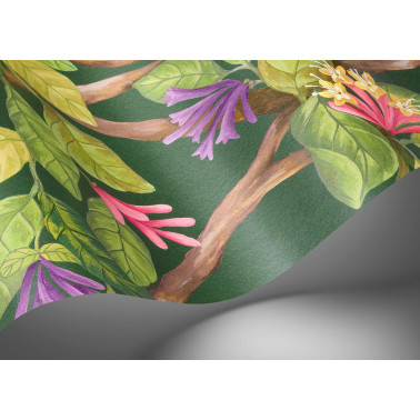Hummingbirds Flora Fuchsia...