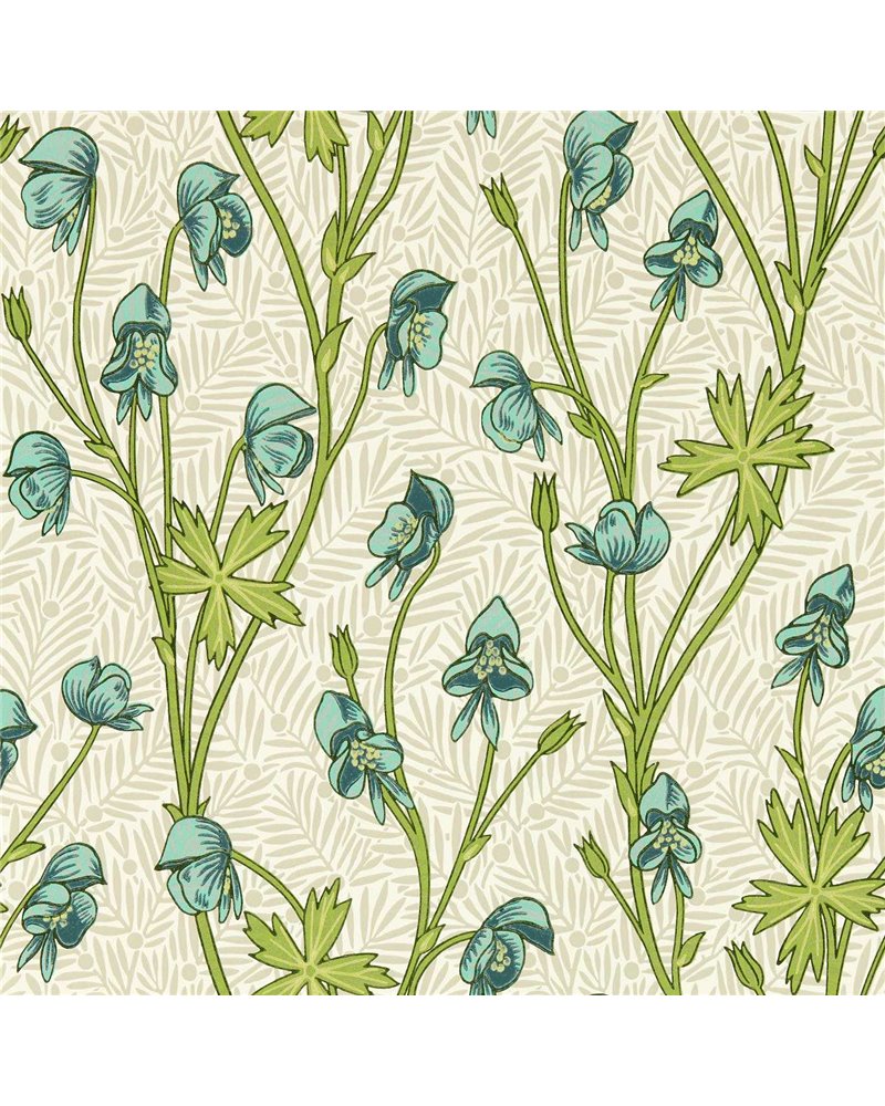 Monkshood Aqua Peashoot MVOW217344 Monkshood Aqua Peashoot MVOW217344