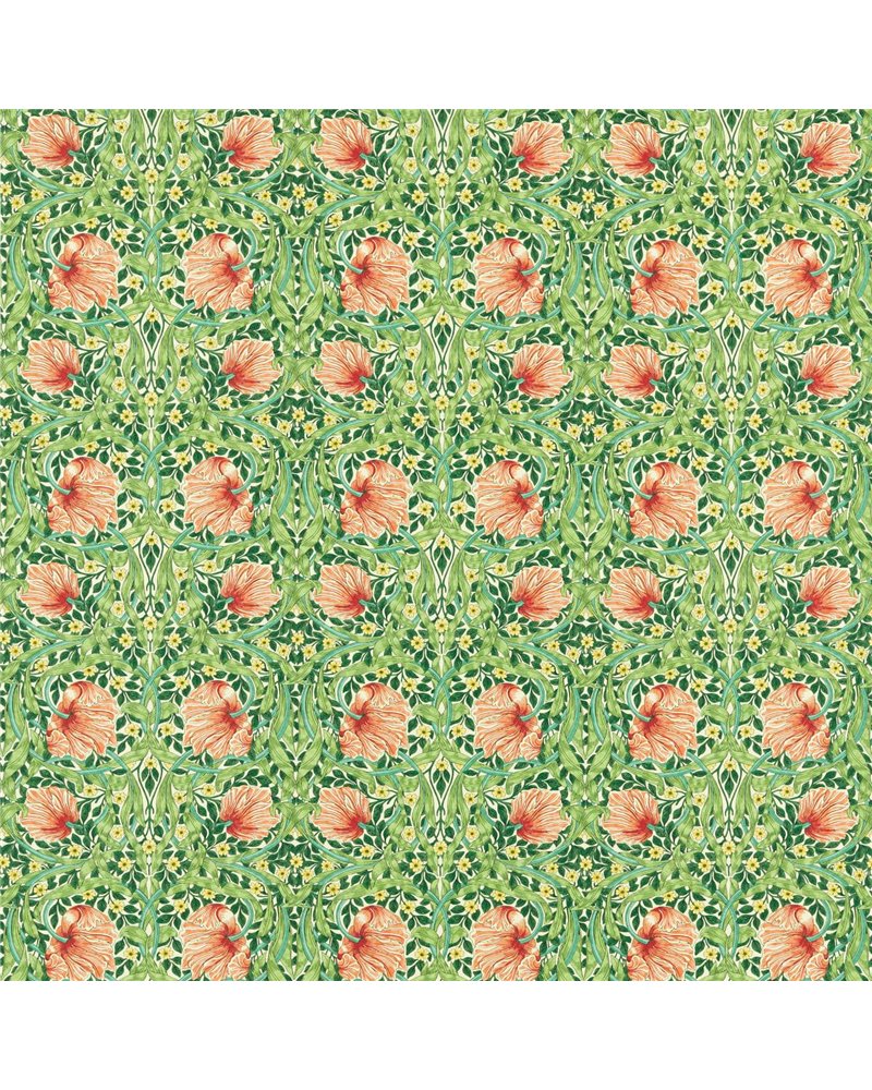 Pimpernel Shamrock Watermelon MVOF227213 Pimpernel Shamrock Watermelon MVOF227213