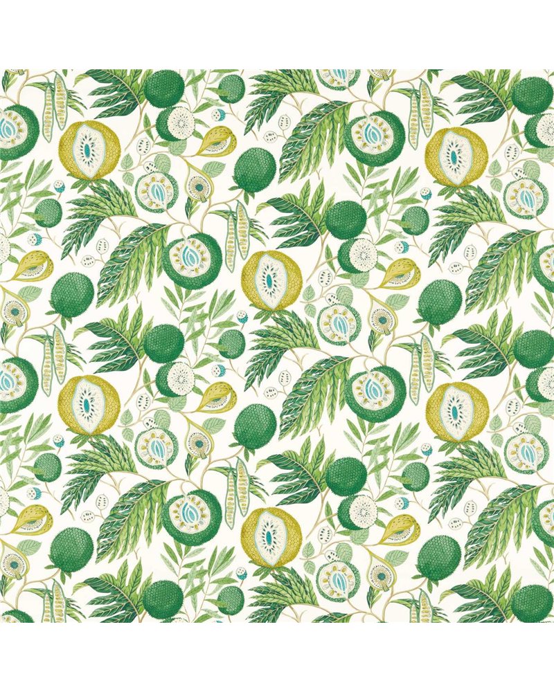 Jackfruit Botanical Green DLUM226935 Jackfruit Botanical Green DLUM226935