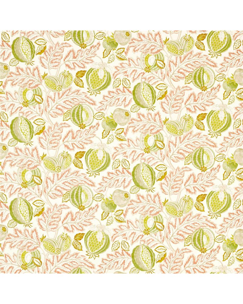 Cantaloupe Matcha Conch DSAN227198 Cantaloupe Matcha Conch DSAN227198