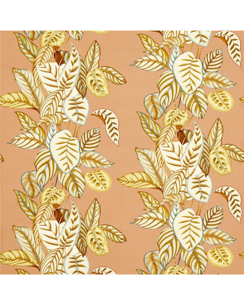 Calathea Sandstone DSAN227190 Calathea Sandstone DSAN227190