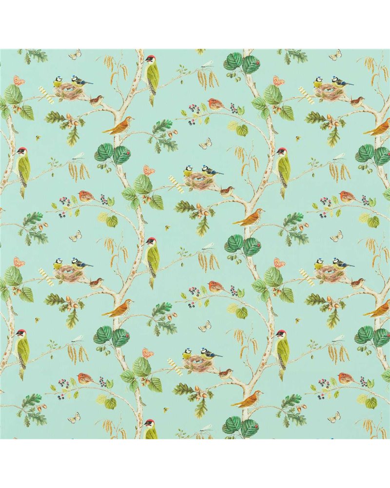 Woodland Chorus Sky Blue Multi DLUM226937 Woodland Chorus Sky Blue Multi DLUM226937