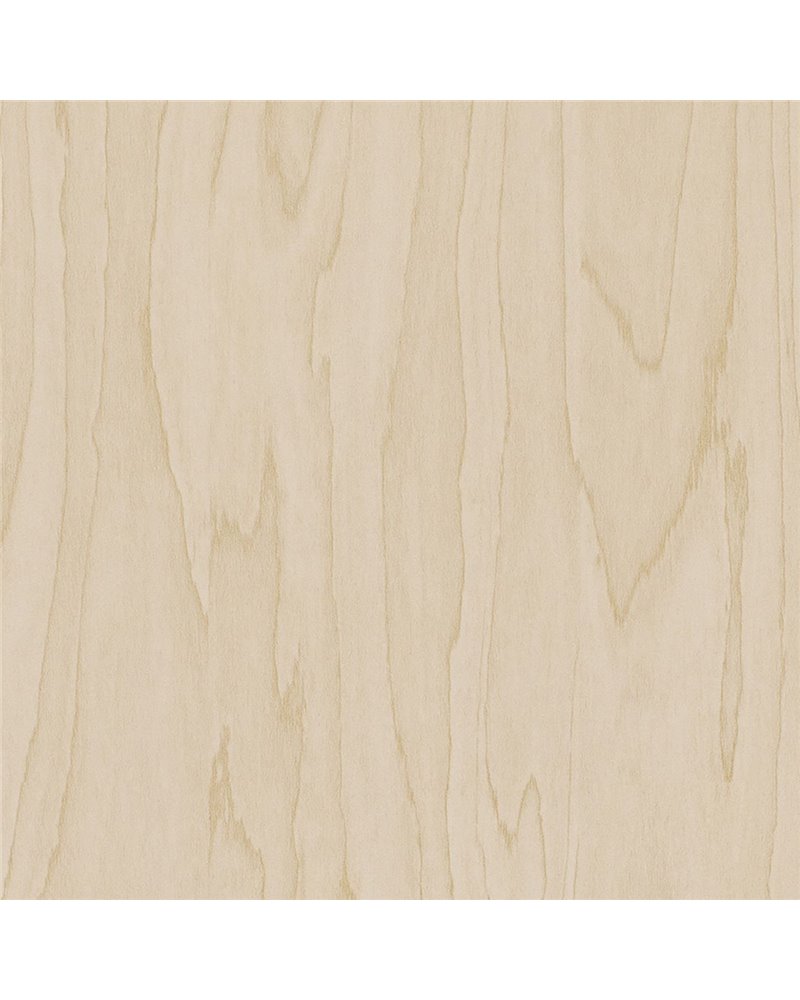 CT19 Gold Pale Birch CT19 Gold Pale Birch
