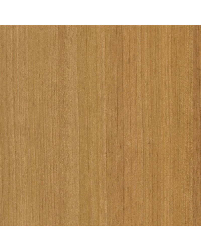CT22 Honey Birch