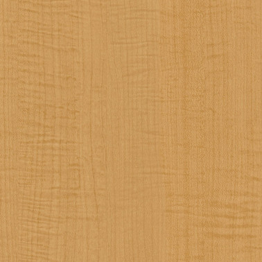 CT70 Yellow Sycamore