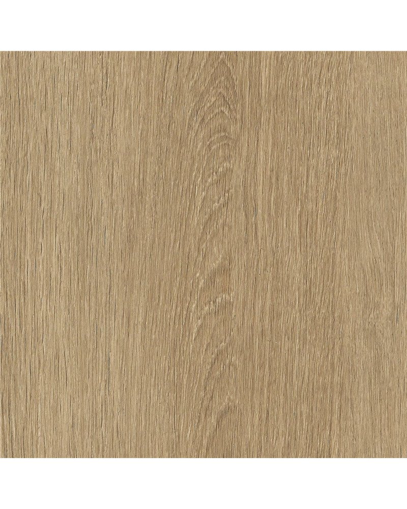 NF63 Nut Ash NF63 Nut Ash