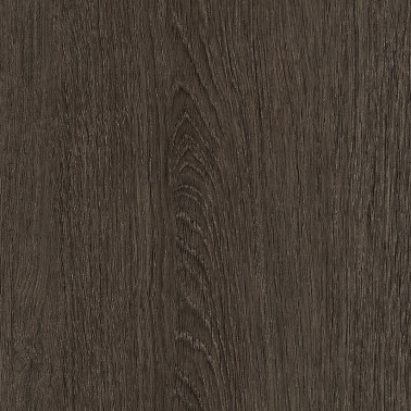 NF71 Tulip Dark