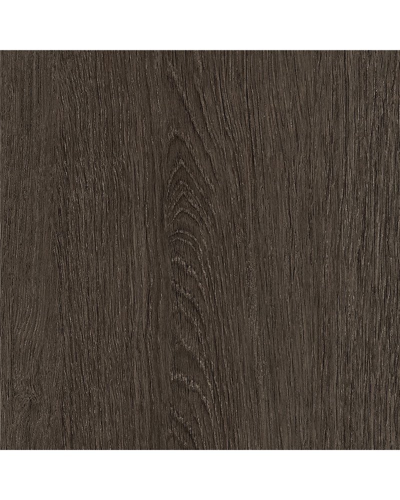 NF71 Tulip Dark NF71 Tulip Dark