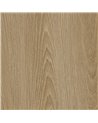 NH83 Golden Elm