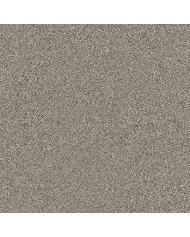 NE41 Grigio NE41 Grigio