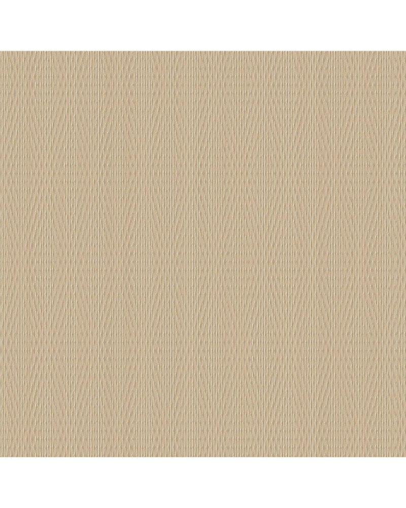 NG20 Edgy Cream NG20 Edgy Cream