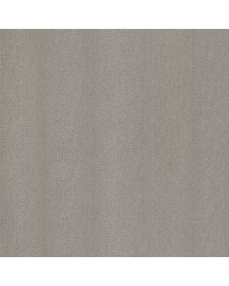 NE51 Champagne Silver NE51 Champagne Silver