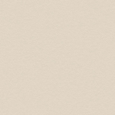 NH49 Snowflake Stucco