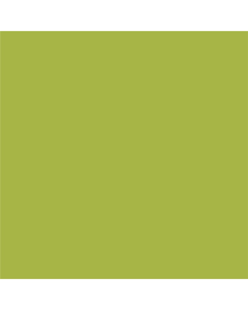 NF05 Green Lawn NF05 Green Lawn
