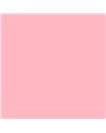 NF07 Pink Flamingo
