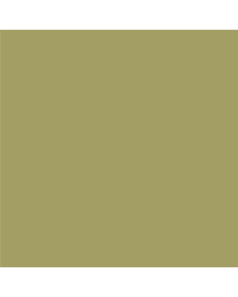 RM19 Olive Green RM19 Olive Green
