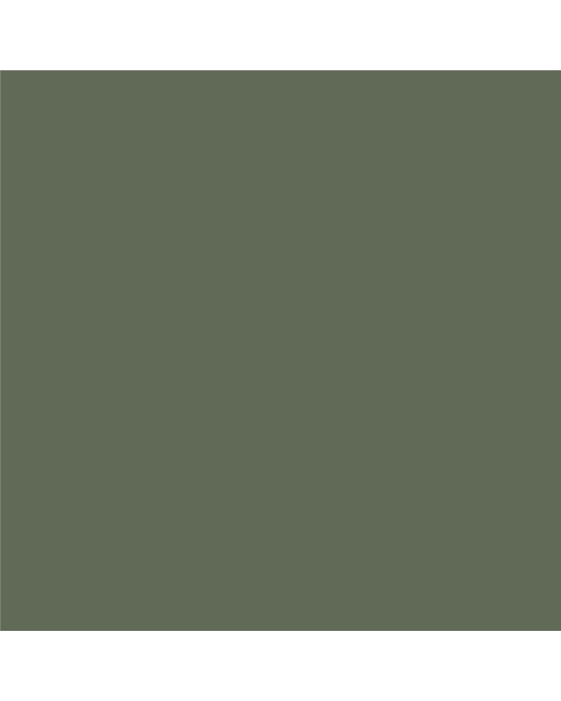 RM20 Sage Green RM20 Sage Green