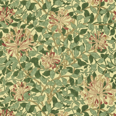 Honeysuckle Green Coral Pink DMC1HS102