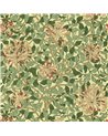 Honeysuckle Green Coral Pink DMC1HS102