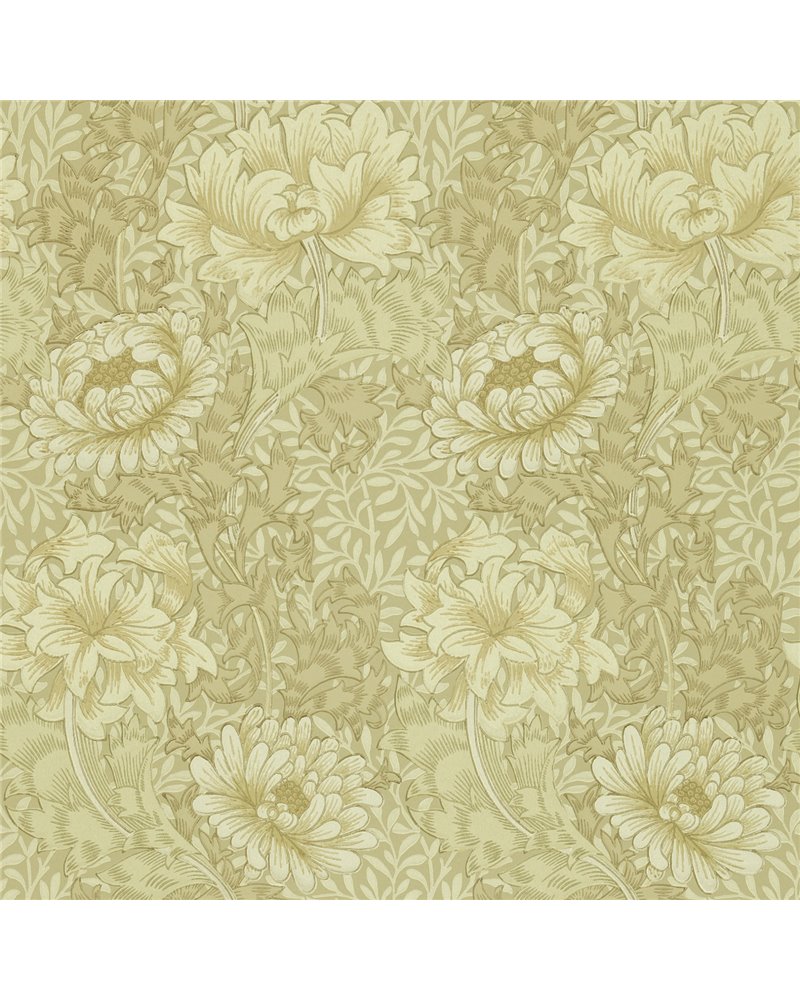 Chrysanthemum Ivory Canvas DJA1CY103 Chrysanthemum Ivory Canvas DJA1CY103