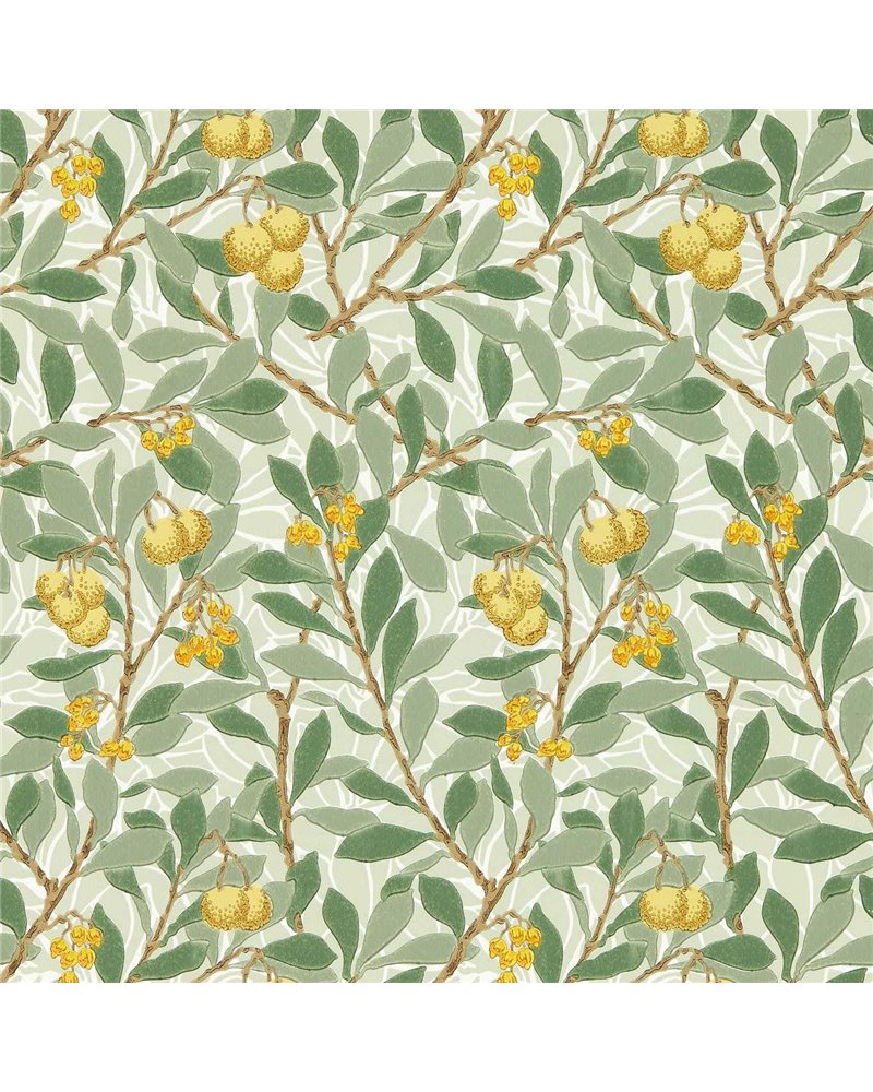 Arbutus Sage Lemon MFRW217356 Arbutus Sage Lemon MFRW217356