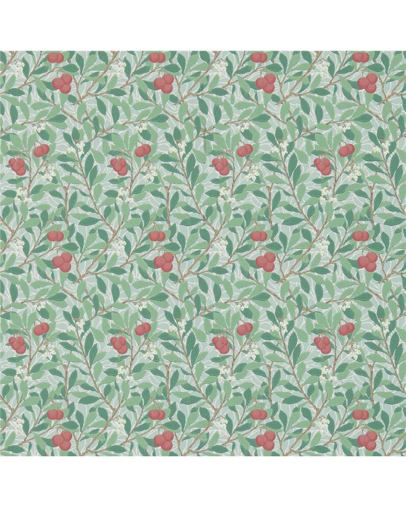 Arbutus Thyme Coral DM3W214719 Arbutus Thyme Coral DM3W214719