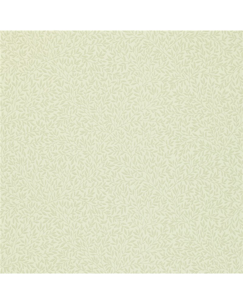 Standen Canvas DGW148101 Standen Canvas DGW148101