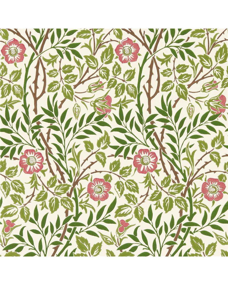 Sweet Briar Boughs Rose MFRW217370 Sweet Briar Boughs Rose MFRW217370