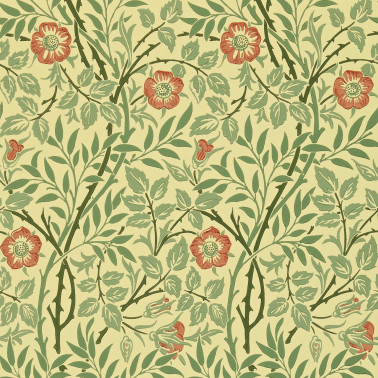 Sweet Briar Green Rust DMC130101