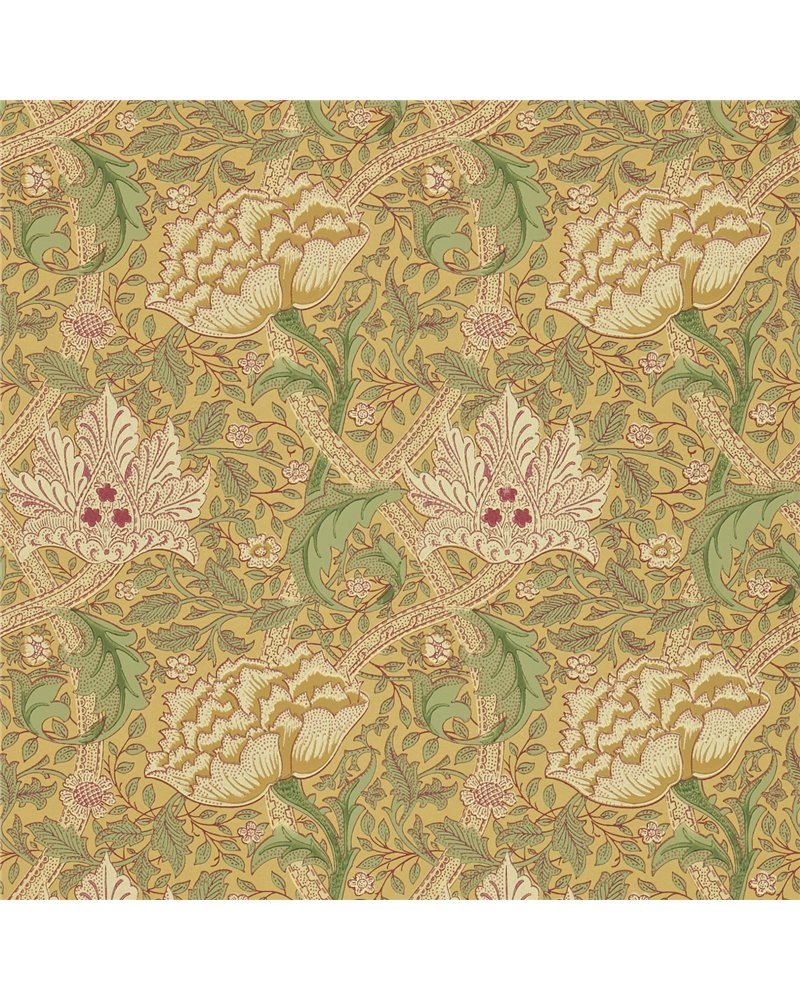 Windrush Gold Thyme DMI1W6102 Windrush Gold Thyme DMI1W6102
